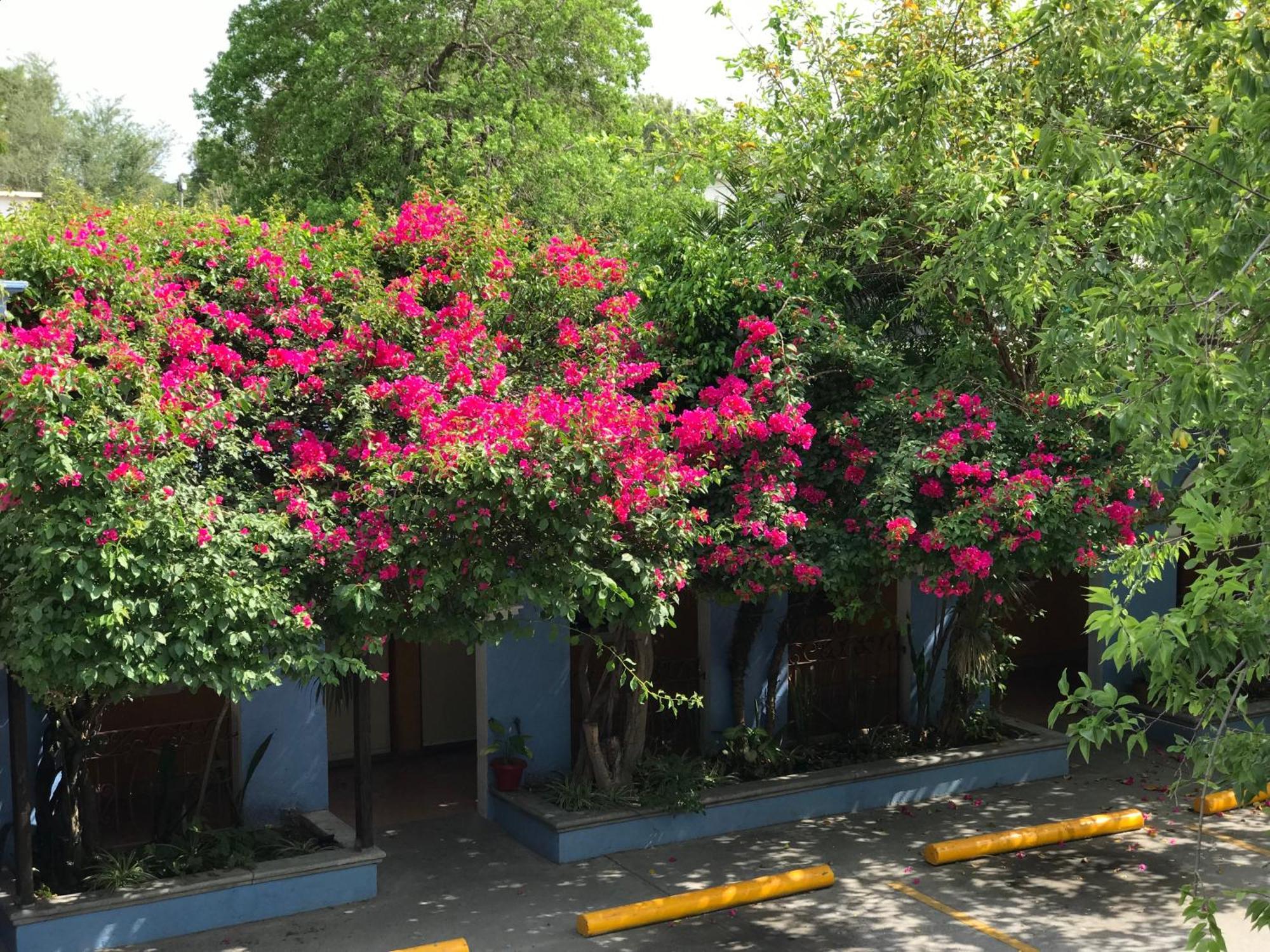 Hotel Hacienda Del Viejo Matamoros  Buitenkant foto